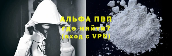 прущие грибы Михайлов