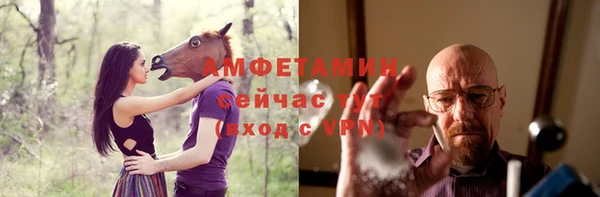 прущие грибы Михайлов