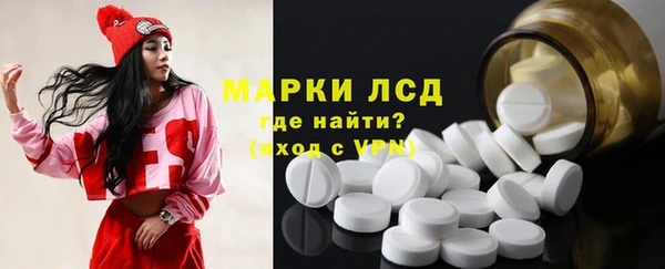 прущие грибы Михайлов