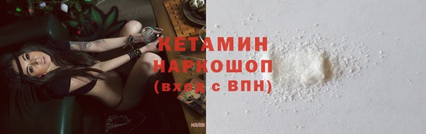 прущие грибы Михайлов