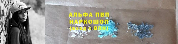 прущие грибы Михайлов