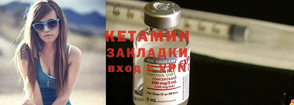 прущие грибы Михайлов
