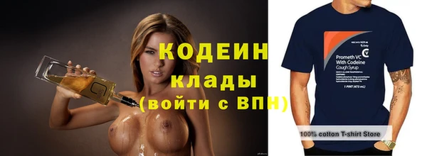 прущие грибы Михайлов