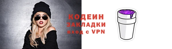 прущие грибы Михайлов