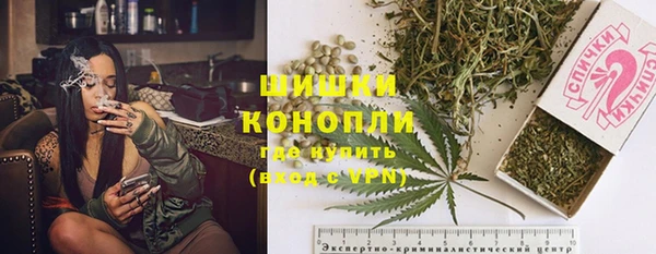 прущие грибы Михайлов